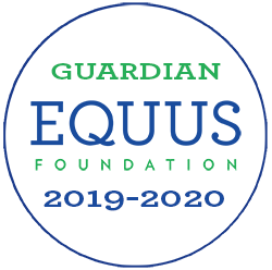 guardian foundation