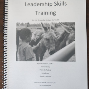 Leadership Curriculum for Groups