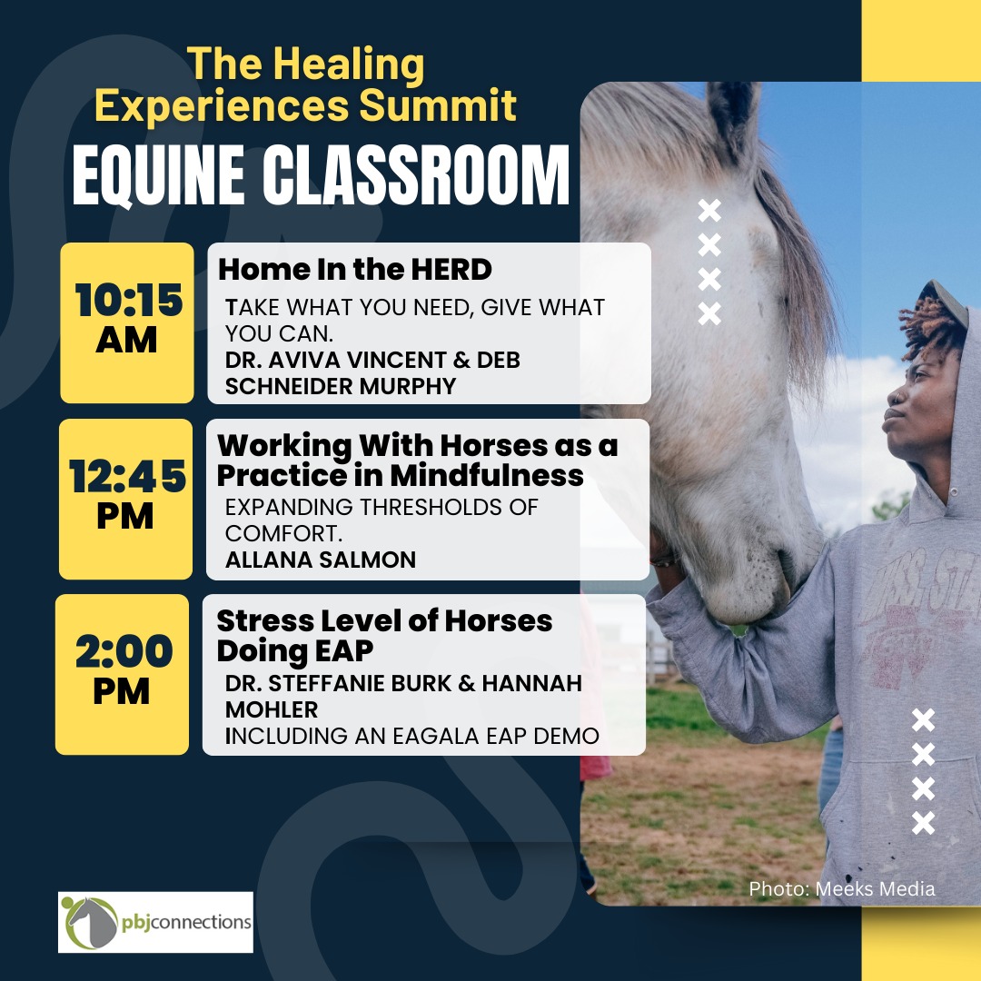 Equine Calssroom