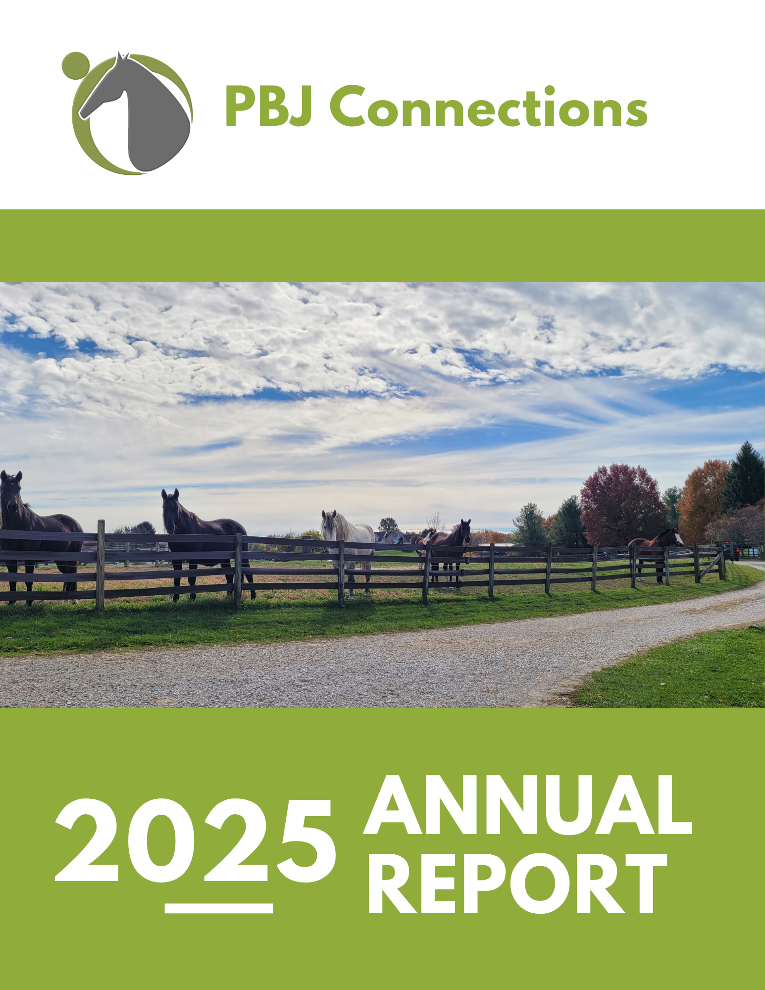 2025 Annual Report (1)