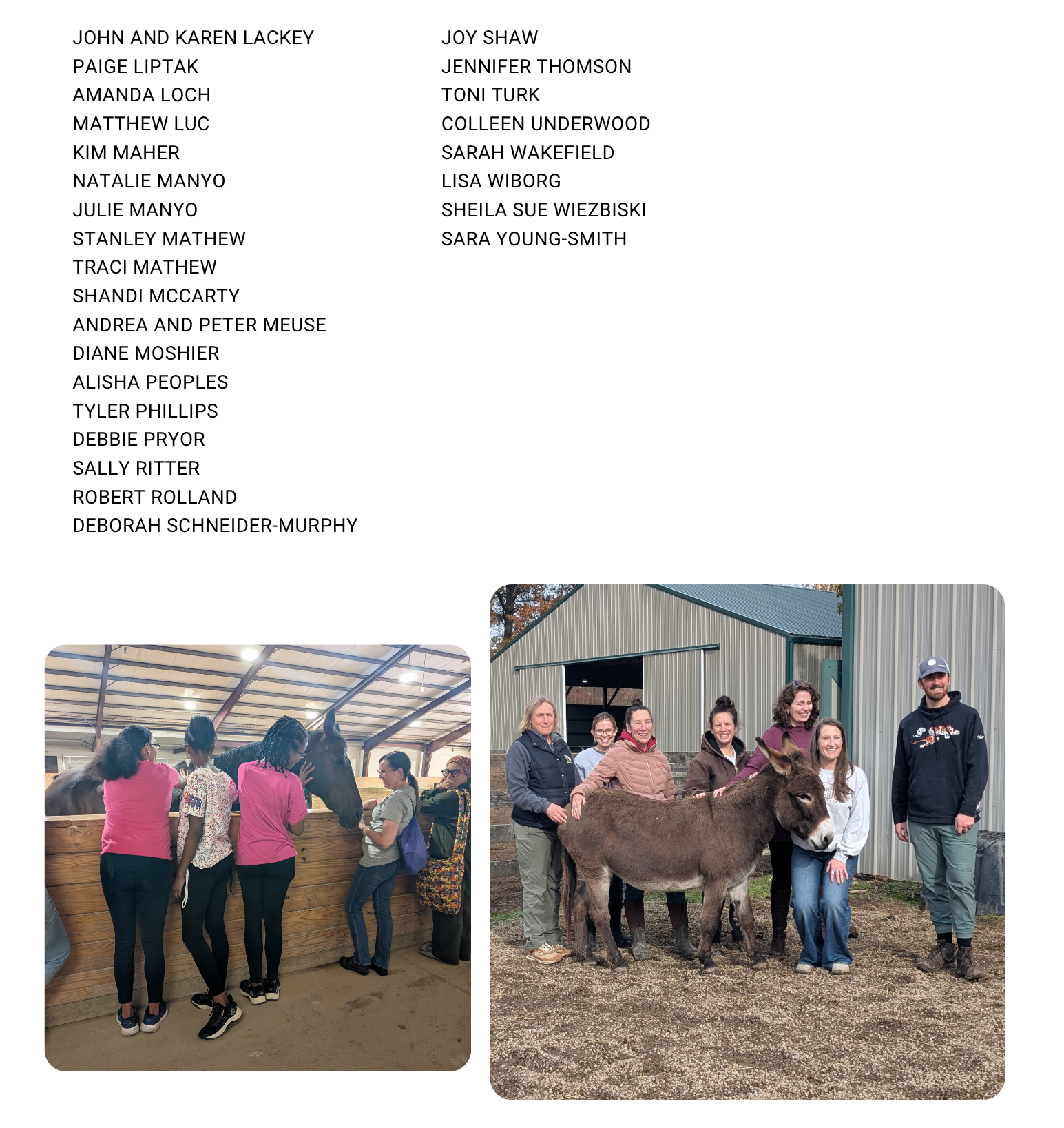 Indiv Donors 2